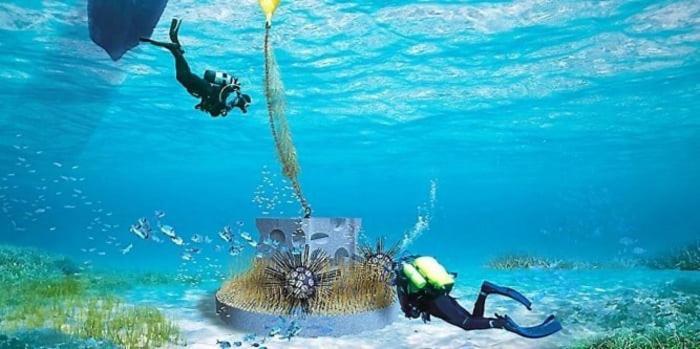 Cap To Sea Eureka A 200 M Centre Naturiste Agde Eksteriør bilde